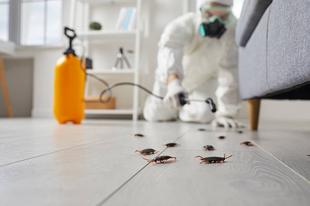 Trusted Cockroach Control service in Jamesburg, NJ - Nex Pest Control