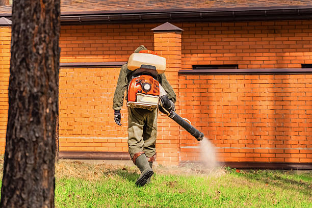 Trusted Emergency Pest Control service in Jamesburg, NJ - Nex Pest Control